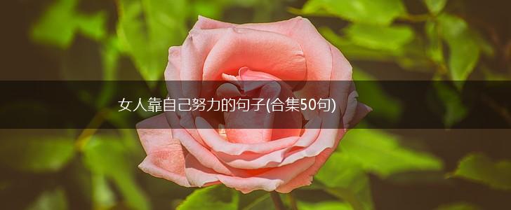 女人靠自己努力的句子(合集50句),第1张