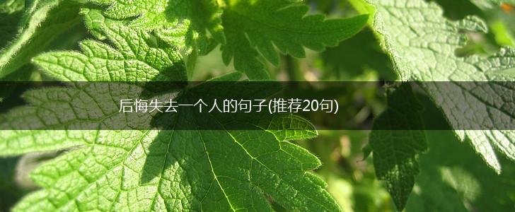 后悔失去一个人的句子(推荐20句),第1张