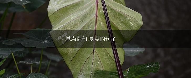 基点造句,基点的句子,第1张 基点造句,基点的句子,第1张