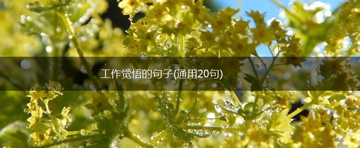 工作觉悟的句子(通用20句),第1张