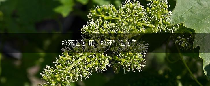 绞死造句_用“绞死”造句子,第1张 绞死造句_用“绞死”造句子,第1张