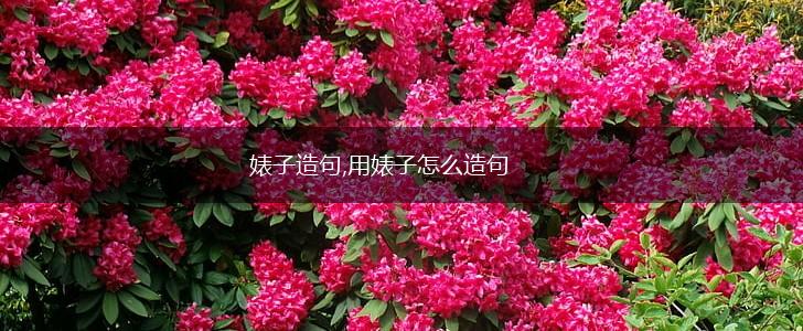 婊子造句,用婊子怎么造句,第1张