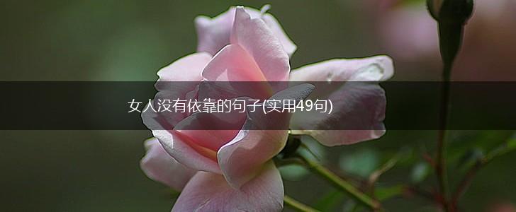 女人没有依靠的句子(实用49句),第1张