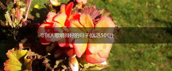 夸别人歌唱得好的句子(优选50句),第1张