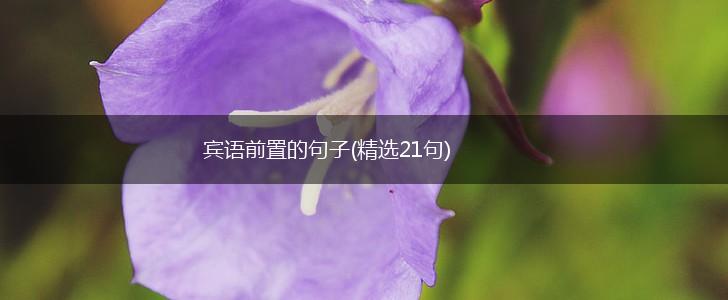 宾语前置的句子(精选21句),第1张