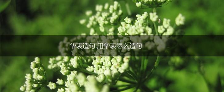 华表造句,用华表怎么造句,第1张 华表造句,用华表怎么造句,第1张