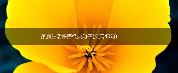 家庭生活感悟经典句子(实用40句),第1张