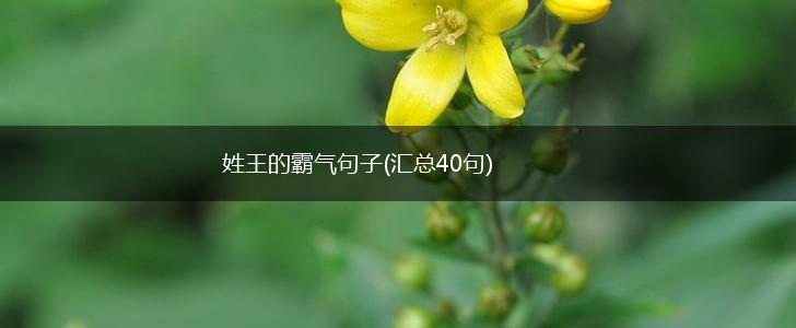 姓王的霸气句子(汇总40句),第1张