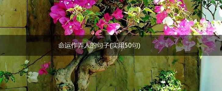 命运作弄人的句子(实用50句),第1张