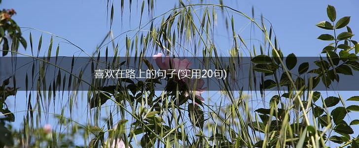 喜欢在路上的句子(实用20句),第1张