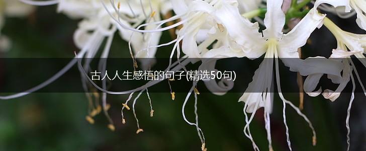 古人人生感悟的句子(精选50句),第1张