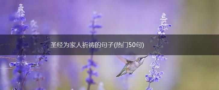 圣经为家人祈祷的句子(热门50句),第1张