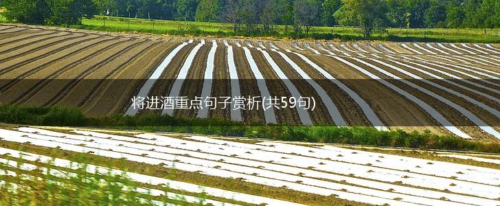 将进酒重点句子赏析(共59句),第1张