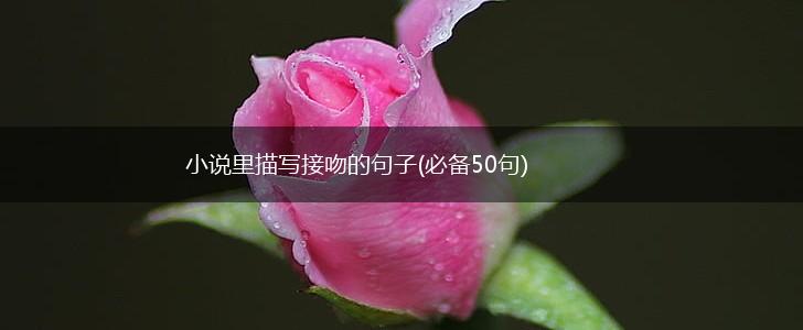小说里描写接吻的句子(必备50句),第1张