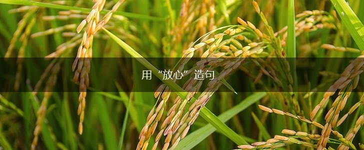 用“放心”造句,第1张 用“放心”造句,第1张
