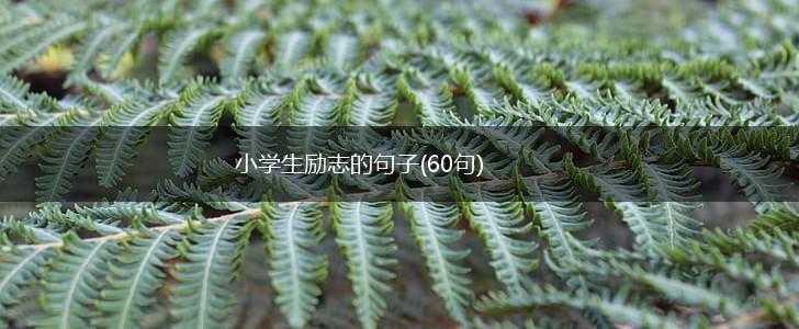 小学生励志的句子(60句),第1张