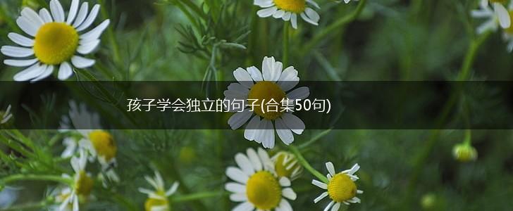 孩子学会独立的句子(合集50句),第1张