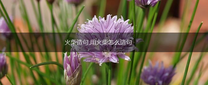 火柴造句,用火柴怎么造句,第1张 火柴造句,用火柴怎么造句,第1张