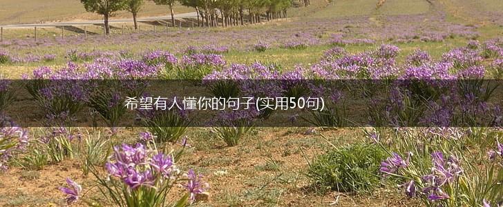 希望有人懂你的句子(实用50句),第1张