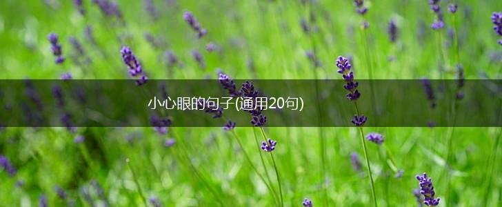 小心眼的句子(通用20句),第1张