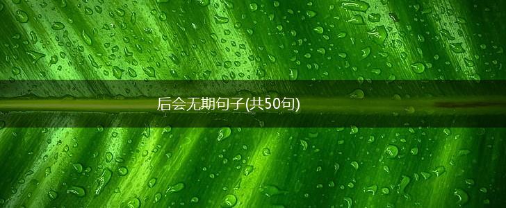 后会无期句子(共50句),第1张