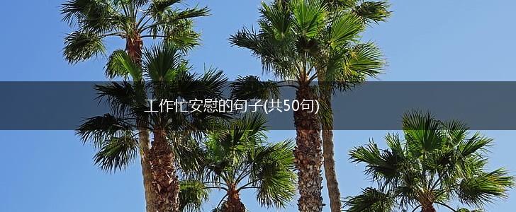 工作忙安慰的句子(共50句),第1张