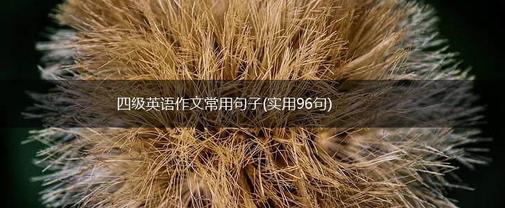 四级英语作文常用句子(实用96句),第1张