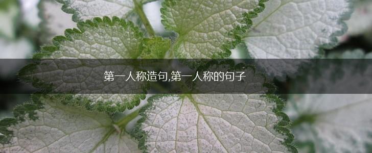 第一人称造句,第一人称的句子,第1张