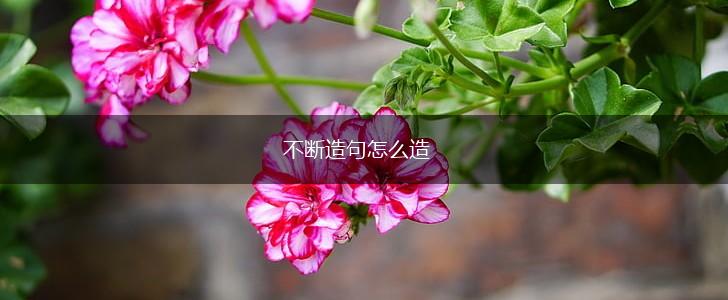不断造句怎么造,第1张