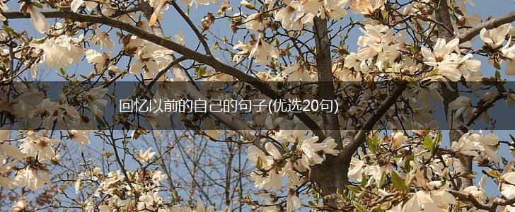 回忆以前的自己的句子(优选20句),第1张