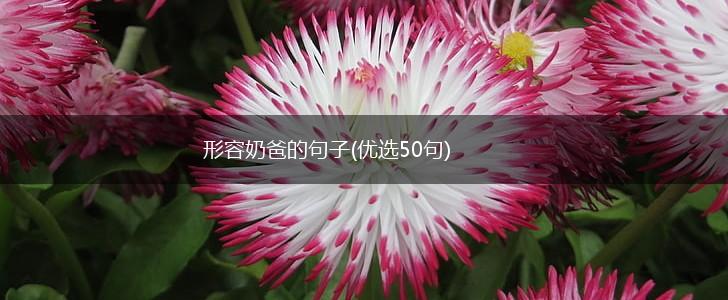 形容奶爸的句子(优选50句),第1张