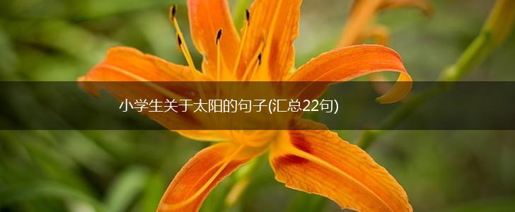 小学生关于太阳的句子(汇总22句),第1张