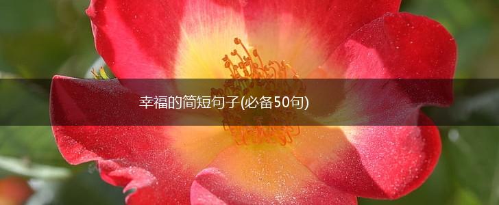 幸福的简短句子(必备50句),第1张