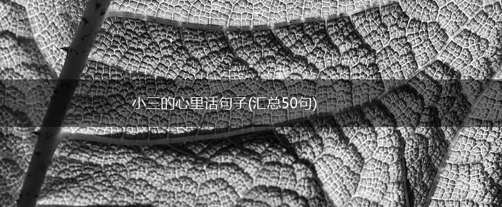 小三的心里话句子(汇总50句),第1张