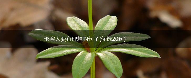 形容人要有理想的句子(优选20句),第1张