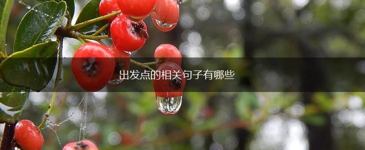 出发点的相关句子有哪些,第1张