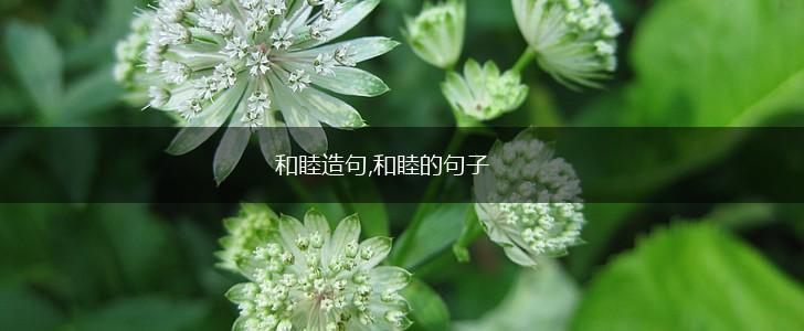 和睦造句,和睦的句子,第1张 和睦造句,和睦的句子,第1张