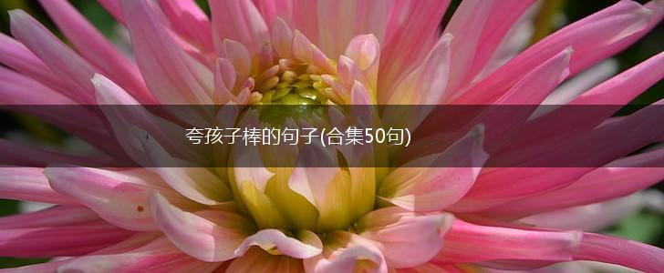 夸孩子棒的句子(合集50句),第1张