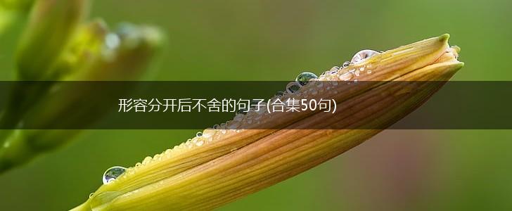 形容分开后不舍的句子(合集50句),第1张
