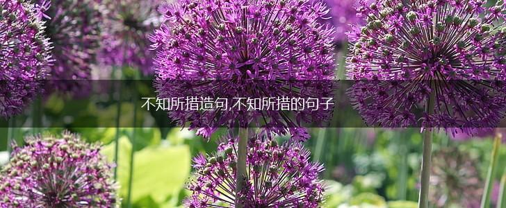 不知所措造句,不知所措的句子,第1张