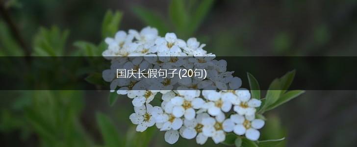 国庆长假句子(20句),第1张