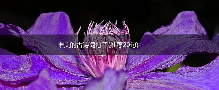 唯美的古诗词句子(推荐20句),第1张