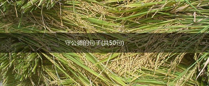 守公德的句子(共50句),第1张