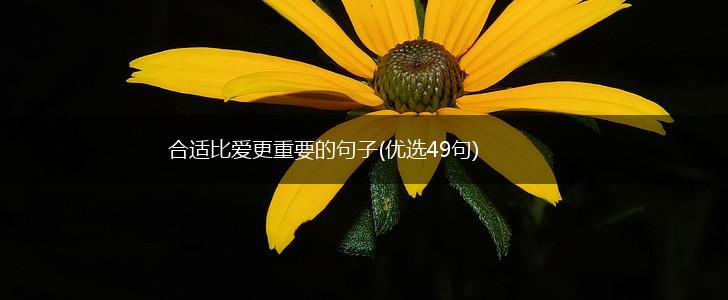 合适比爱更重要的句子(优选49句),第1张
