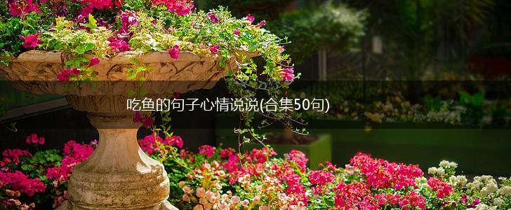 吃鱼的句子心情说说(合集50句),第1张