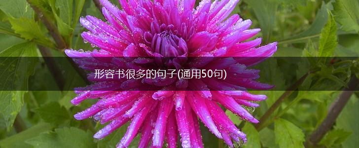 形容书很多的句子(通用50句),第1张