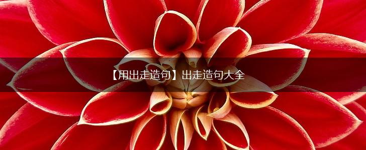 【用出走造句】出走造句大全,第1张