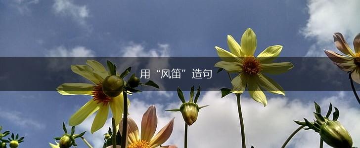 用“风笛”造句,第1张