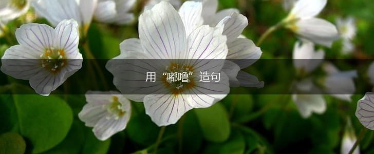 用“嘟噜”造句,第1张