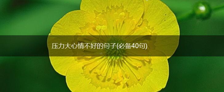 压力大心情不好的句子(必备40句),第1张